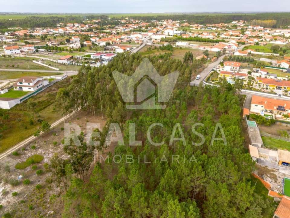 Terreno para construção no Pilado, foto 3